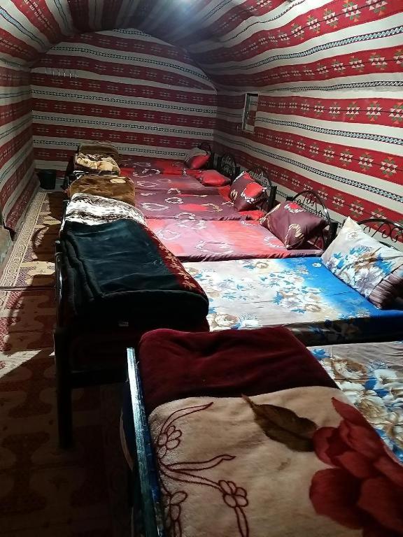 Luksusowy namiot Wadi Moon Camp *
