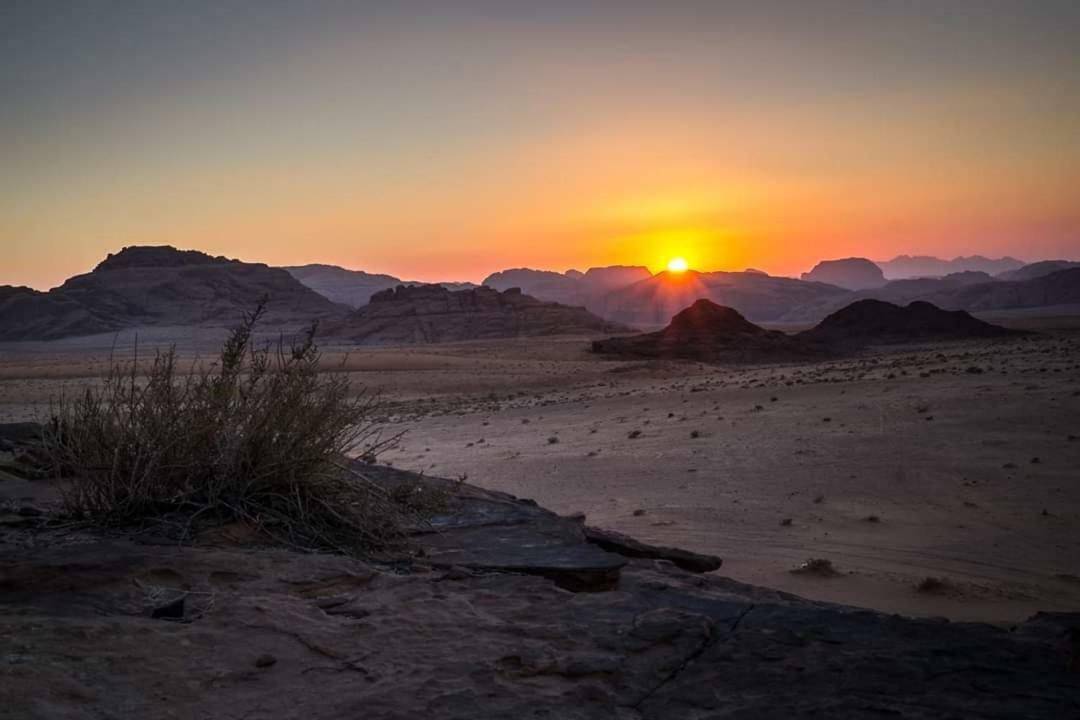 Luksusowy namiot Wadi Moon Camp Wadi Rum